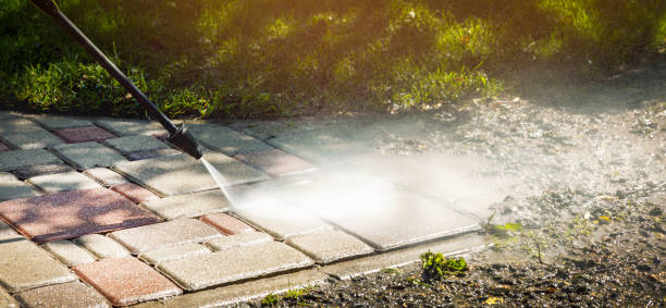 Animal Enclosure Cleaning in Mount Holly Springs, PA